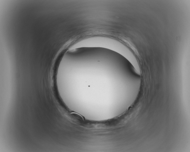 X0000111370395200907311037