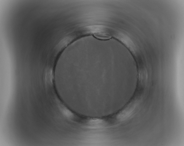 X0000111370397200907311037