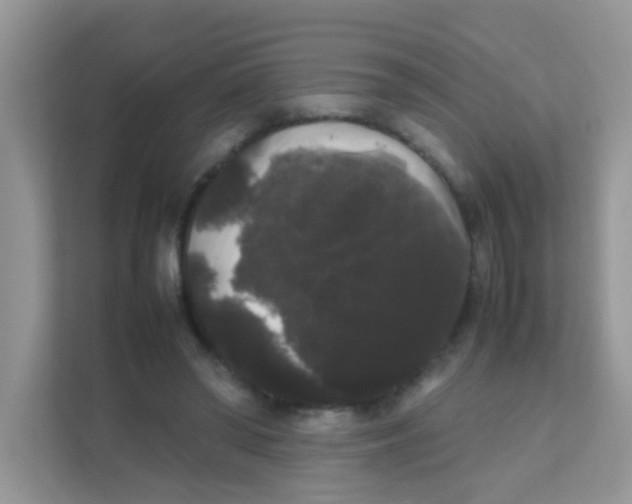 X0000111370398200907311037