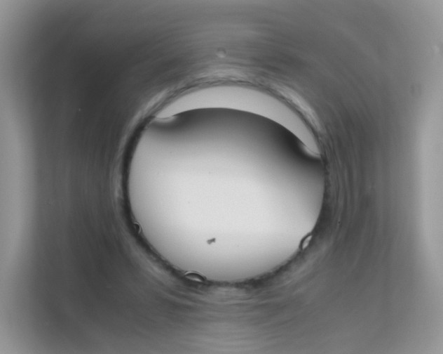 X0000111370399200907311037