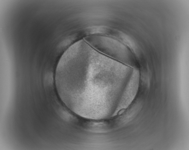 X0000111370401200907311037
