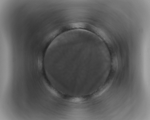 X0000111370402200907311037