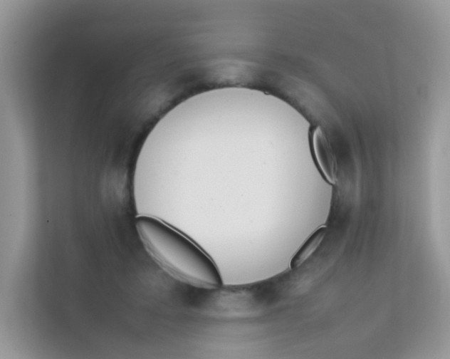 X0000111370403200907311037