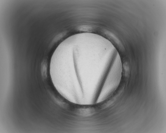 X0000111370404200907311037