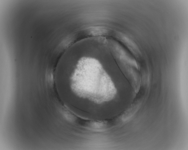 X0000111370405200907311037