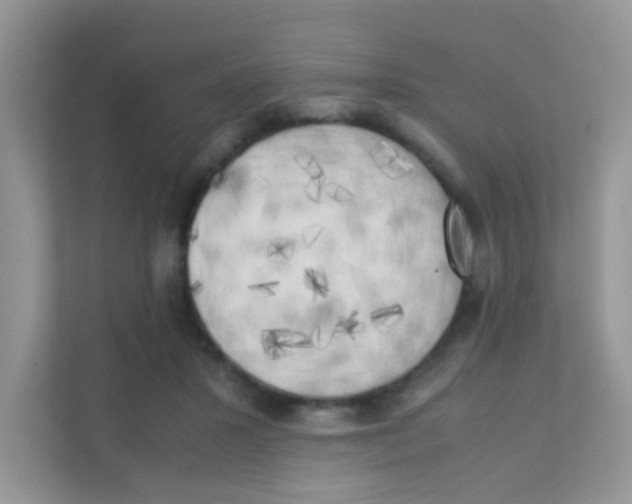 X0000111370407200907311037