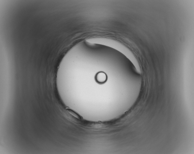 X0000111370409200907311037