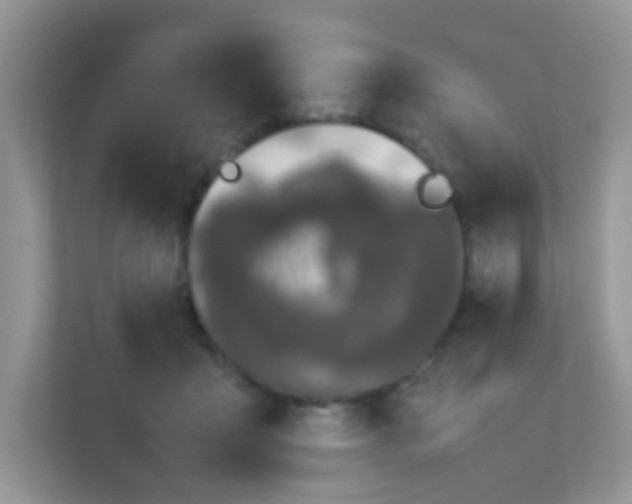 X0000111370411200907311037