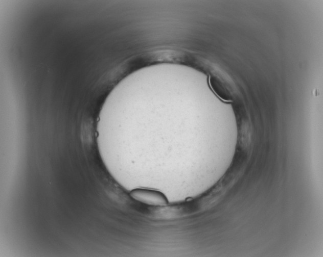X0000111370413200907311037