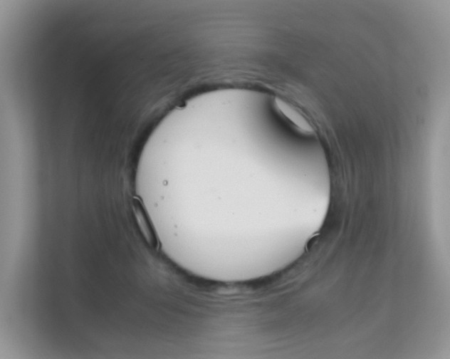 X0000111370415200907311037