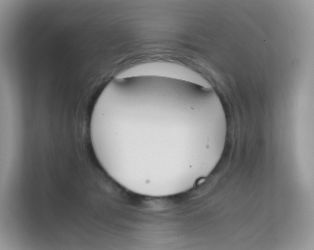 X0000111370417200907311037