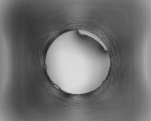 X0000111370423200907311037