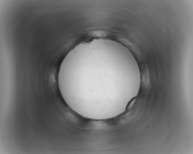 X0000111370424200907311037
