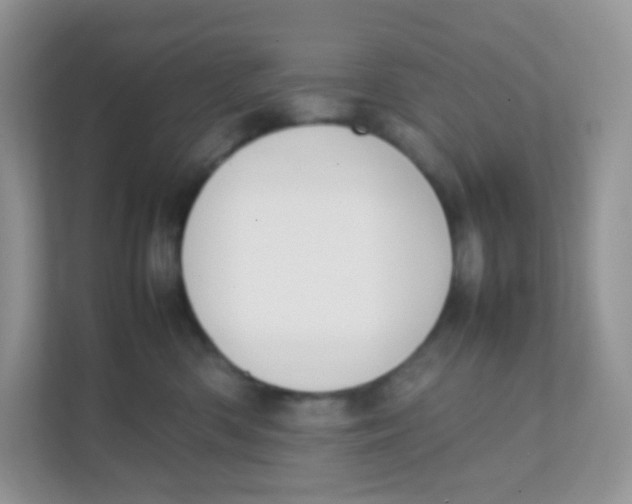 X0000111370426200907311037