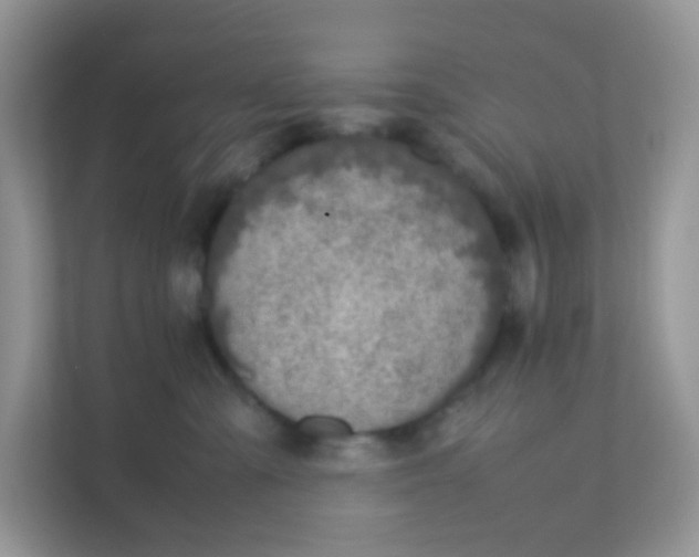X0000111370427200907311037