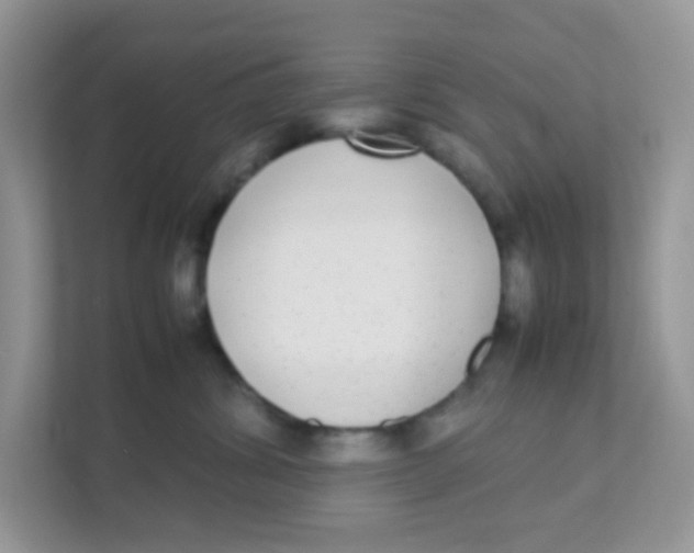 X0000111370428200907311037