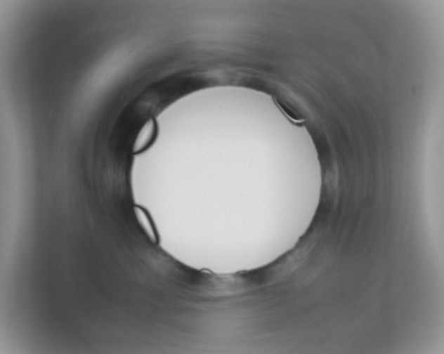 X0000111370429200907311037