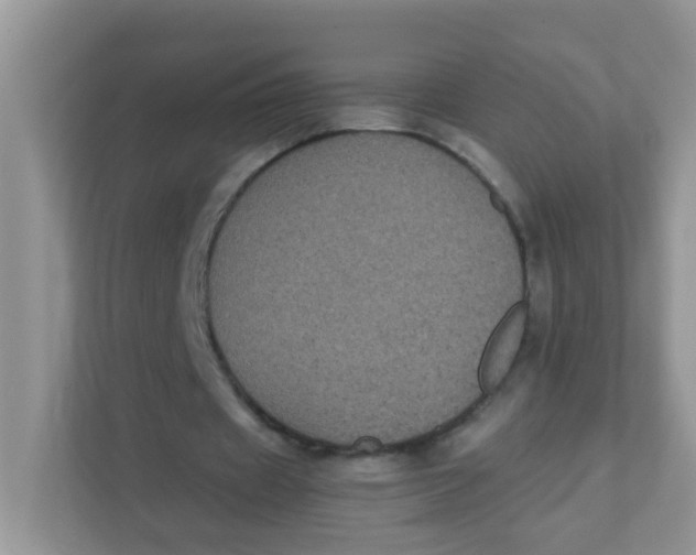 X0000111370433200907311036