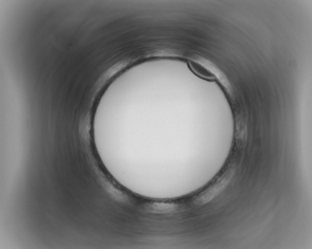 X0000111370437200907311036