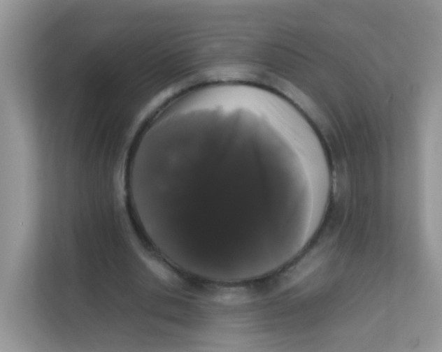 X0000111370438200907311036