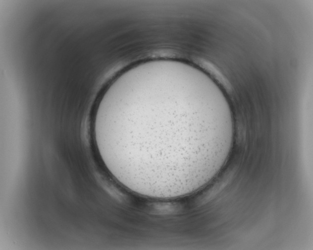 X0000111370439200907311036