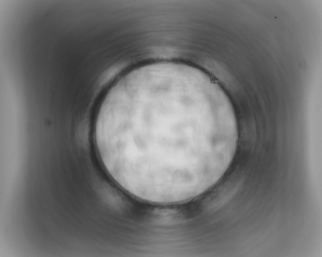 X0000111370440200907311036