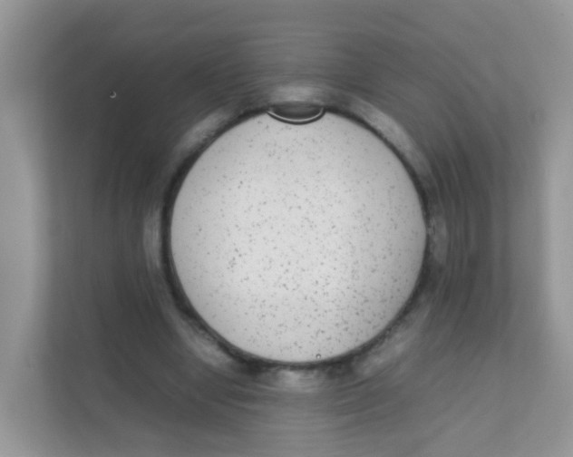 X0000111370442200907311036