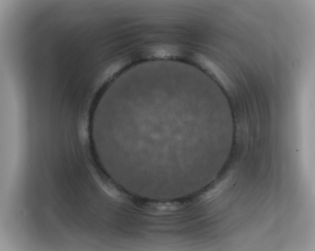 X0000111370443200907311036