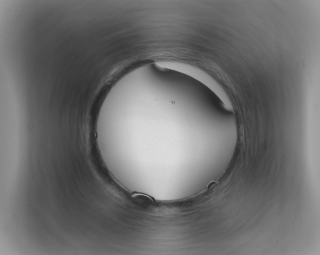 X0000111370444200907311036