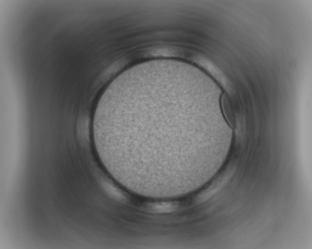 X0000111370445200907311036