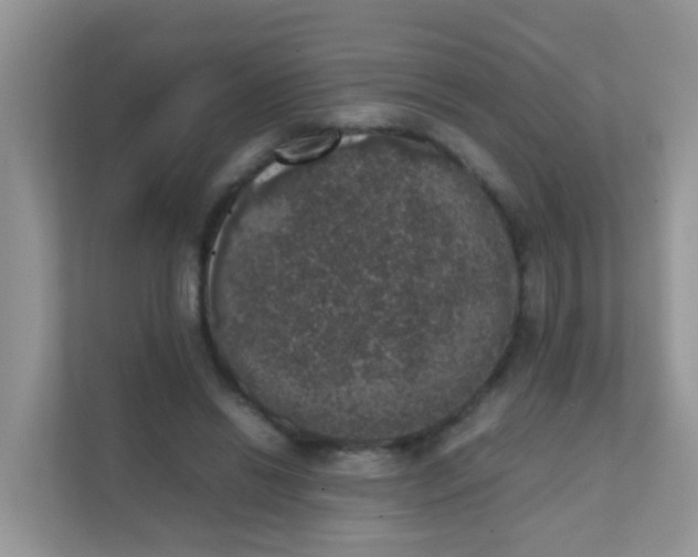 X0000111370446200907311036