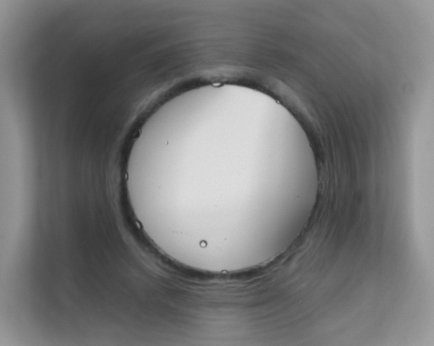 X0000111370448200907311036