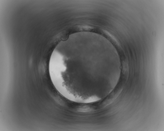 X0000111370451200907311036