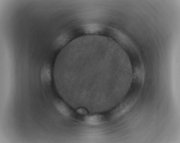 X0000111370452200907311036