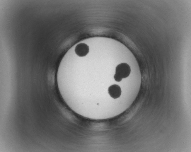 X0000111370454200907311036