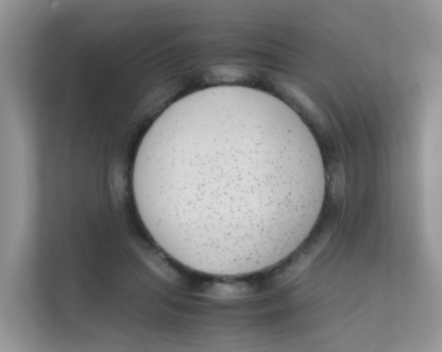 X0000111370455200907311036