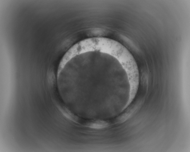 X0000111370459200907311036