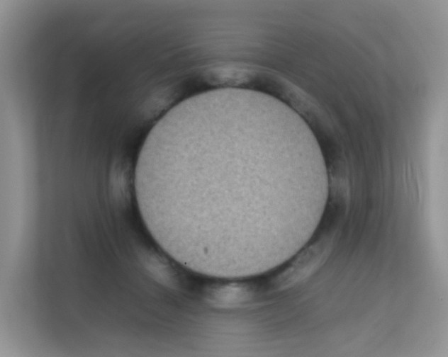 X0000111370460200907311036