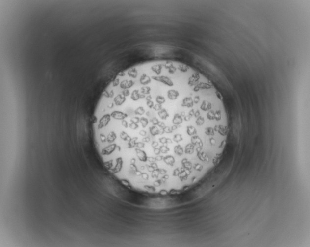 X0000111370461200907311036