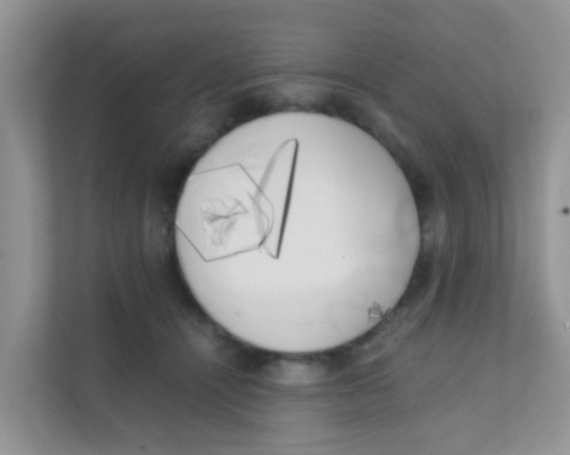 X0000111370464200907311036