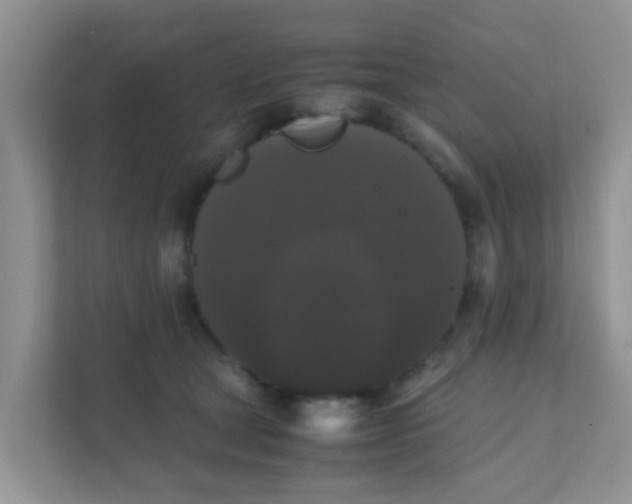 X0000111370465200907311036