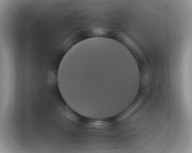 X0000111370467200907311036