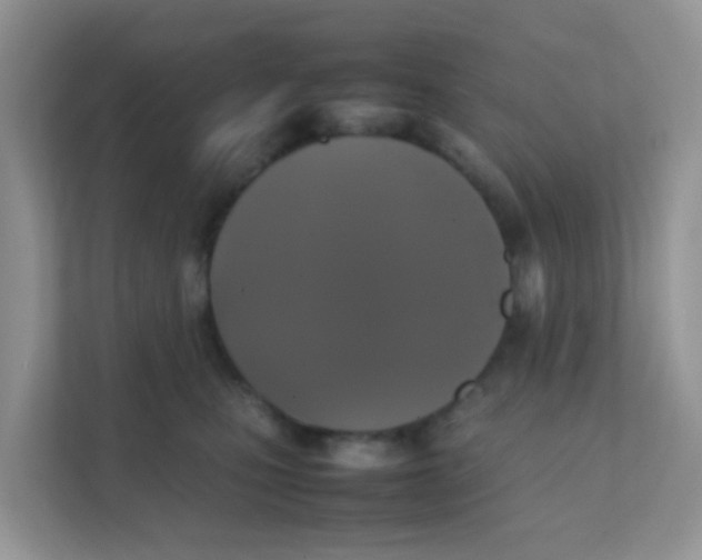 X0000111370471200907311036