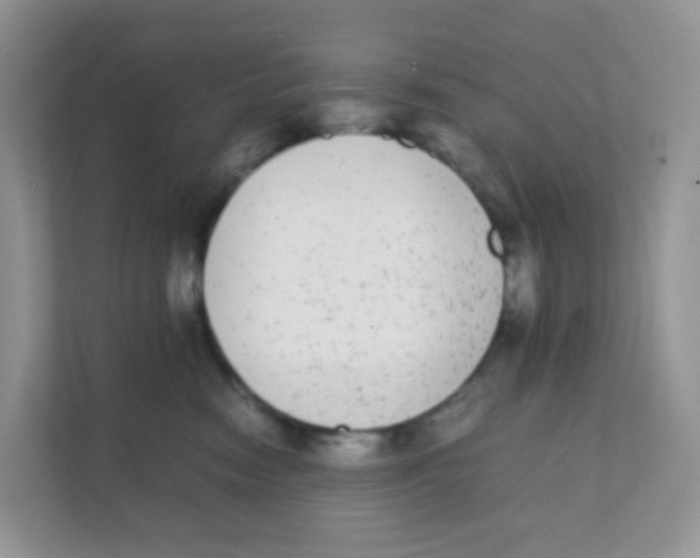 X0000111370474200907311037
