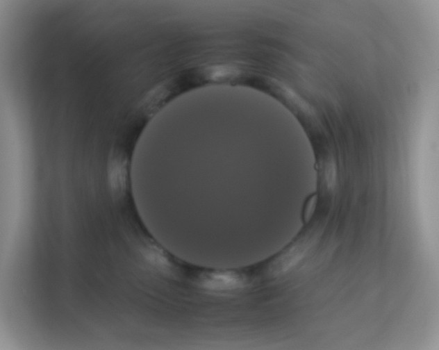 X0000111370475200907311037