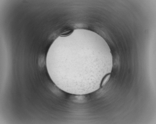 X0000111370478200907311037