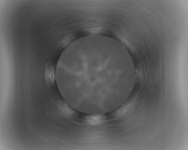 X0000111370479200907311037
