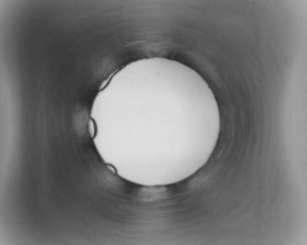 X0000111370480200907311037