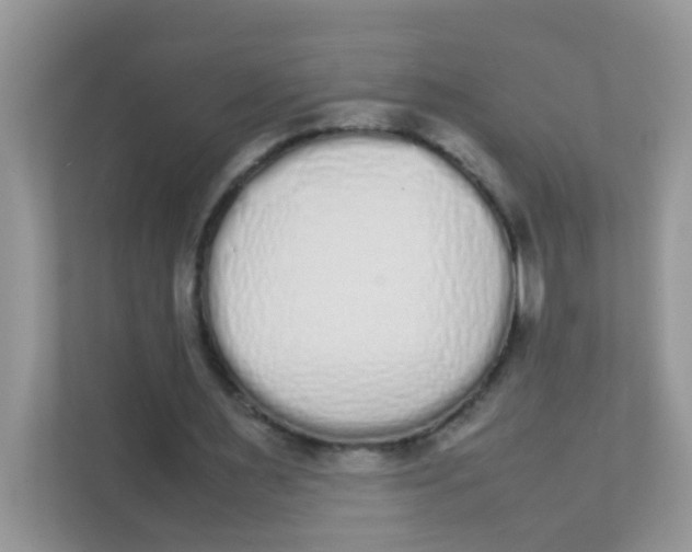 X0000111370483200907311036