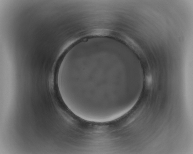 X0000111370484200907311036